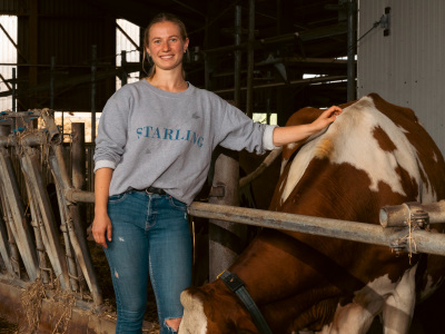 Bei der Landgut Weimar Bio GmbH wird Biomilch für eigenen Käse und weitere Produkte erzeugt. (Im Bild eine Mitarbeiterin im Kuhstall)